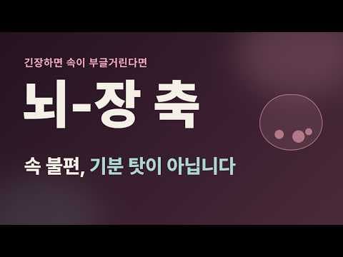 긴장하면 속이 불편해지는 이유 — 스트레스와 뇌-장 축
